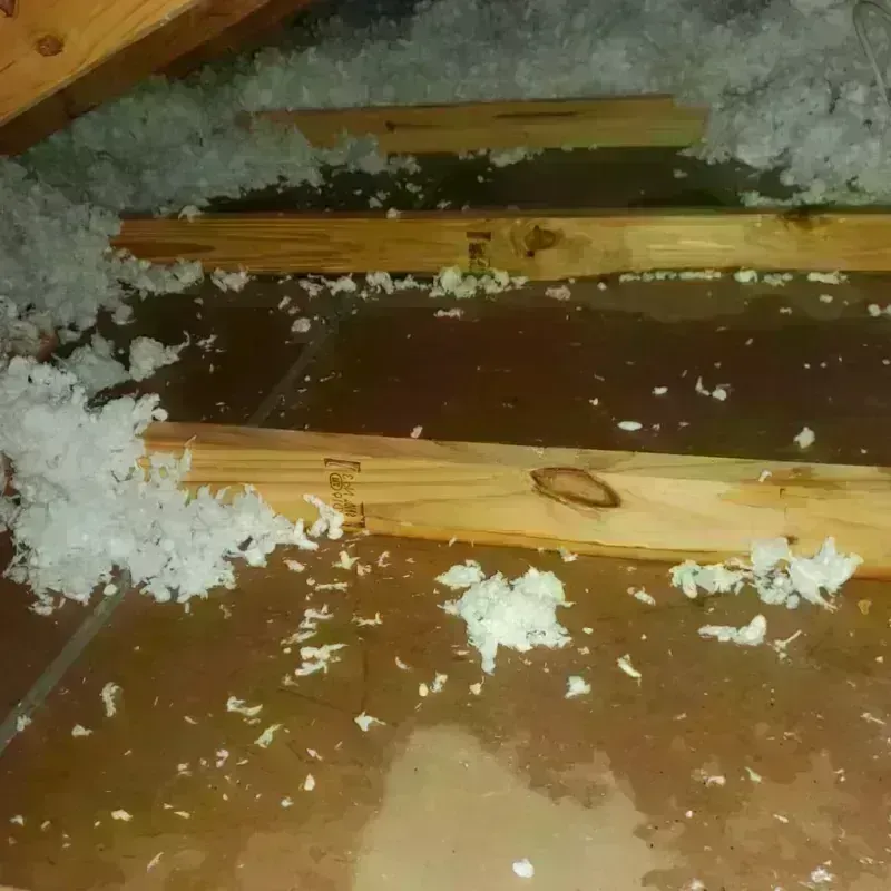 Attic Water Damage in Folsom, PA